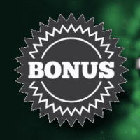 Bonus icon