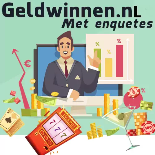6_geld-winnen-enquetes.webp