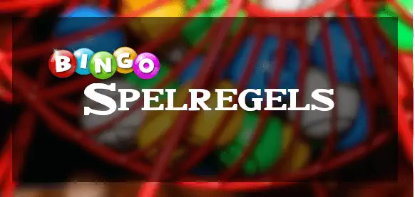 Hoe speel je bingo voor geld?